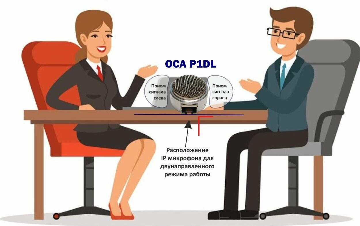 Расположение P1DL